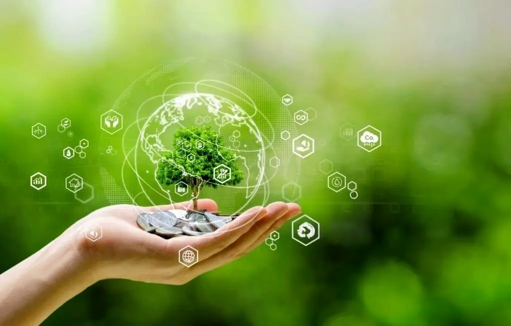 Hand holding tree and money with green background